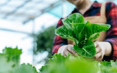 Máster en producción agraria ecológica