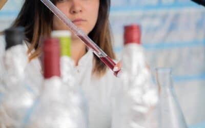 Máster en innovación en viticultura, enología y economía del vino