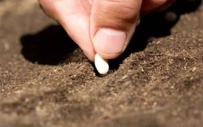 Máster en gestión ambiental, medio natural, agrario y agroalimentario
