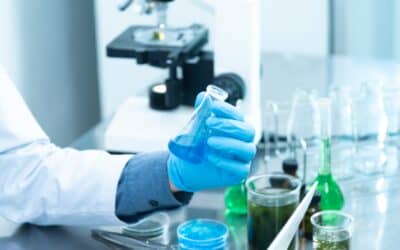 Interpretación de análisis de suelos y pautas de fertilización sostenible
