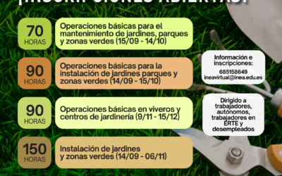 minifods septiembre