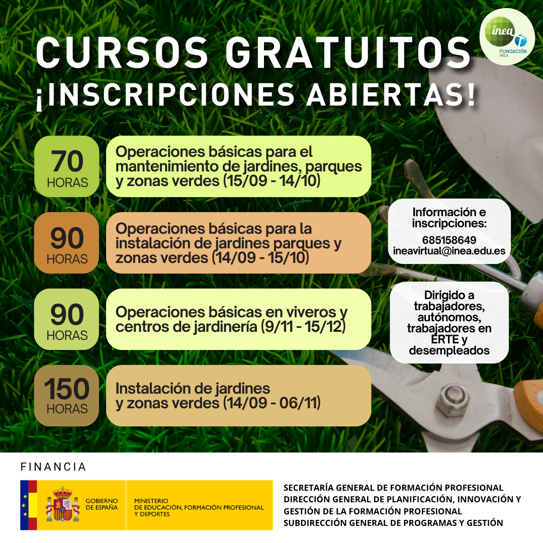 minifods septiembre